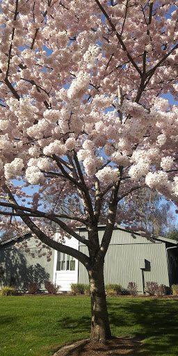 Self-Storage Facility «Storage Court of Federal Way», reviews and photos, 31031 21st Pl SW, Federal Way, WA 98023, USA