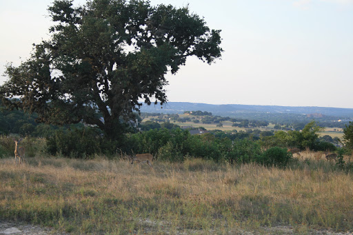 Private Golf Course «Comanche Trace», reviews and photos, 2801 Comanche Trace Dr, Kerrville, TX 78028, USA