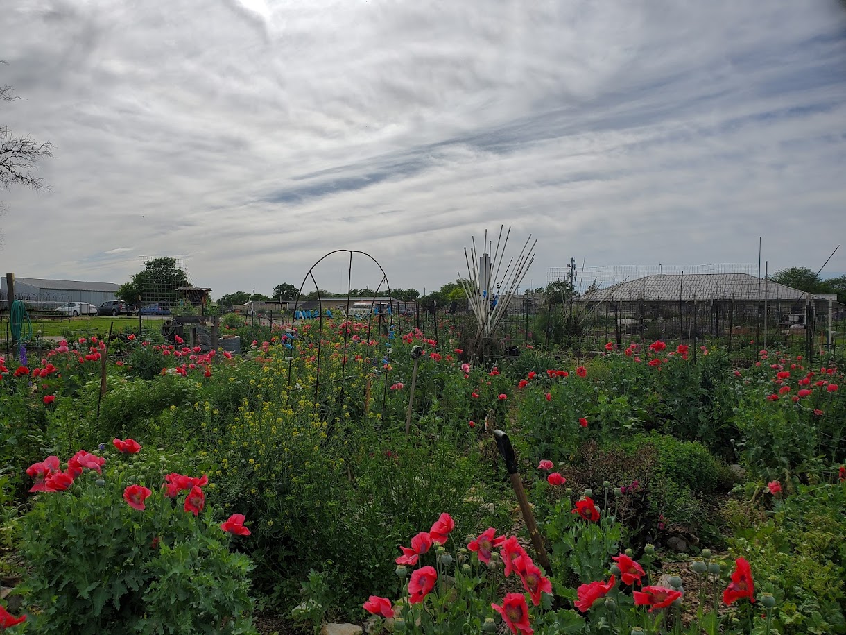 Sunshine Community Gardens