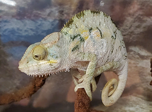 Pet Supply Store «Petco Animal Supplies», reviews and photos, 48 Watertower Plaza, Leominster, MA 01453, USA