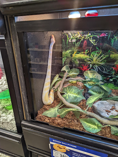 Shopping Mall «Galvez Shopping Center», reviews and photos, 6228 Broadway St, Galveston, TX 77551, USA