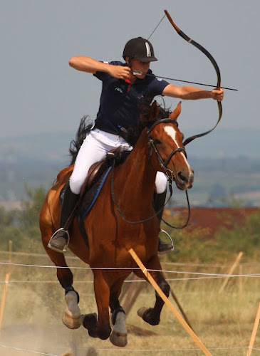 Centre Equestre Des Egageries à Les Velluire-sur-Vendée