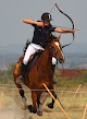 Centre Equestre Des Egageries Les Velluire-sur-Vendée