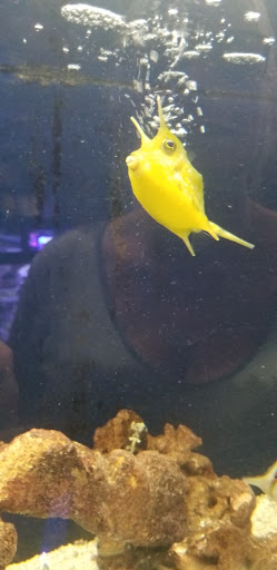 Pet Supply Store «Pet Station Jackson», reviews and photos, 1617 E Michigan Ave, Jackson, MI 49202, USA