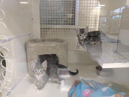 Pet Supply Store «Petco Animal Supplies», reviews and photos, 855 E Bidwell St, Folsom, CA 95630, USA