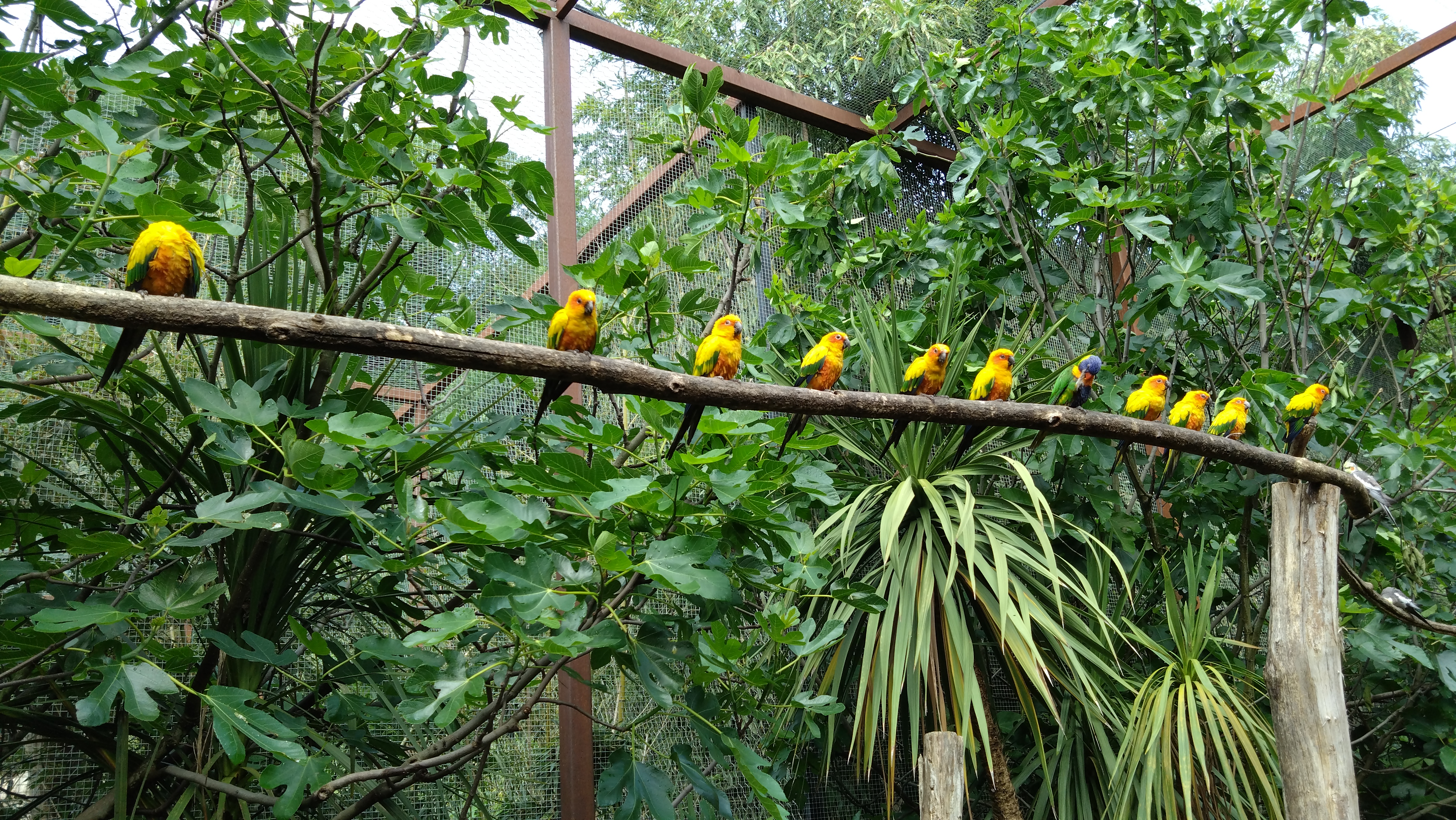 Photo n° 4 de l'avis de David.e fait le 28/05/2023 à 11:55