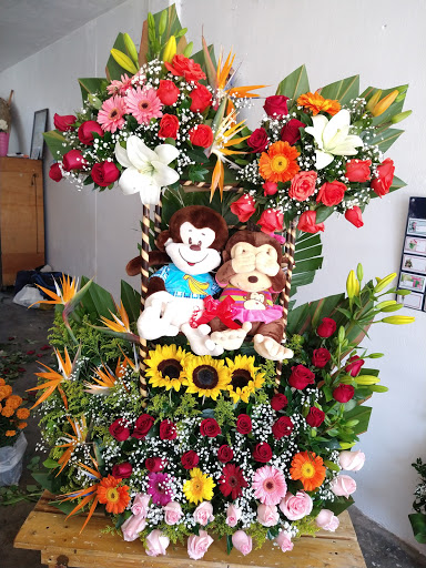 Floreria los angeles – Zumpango