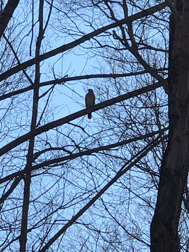 Nature Preserve «Meltzer Woods», reviews and photos, 1522 S 600 E, Shelbyville, IN 46176, USA