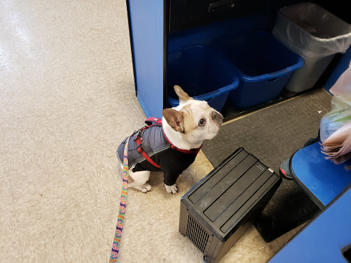 Pet Supply Store «PetSmart», reviews and photos, 1630 13th Ave E, West Fargo, ND 58078, USA