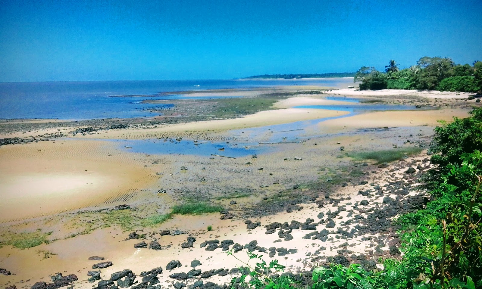 Foto de Playa de Joanes - lugar popular entre los conocedores del relax