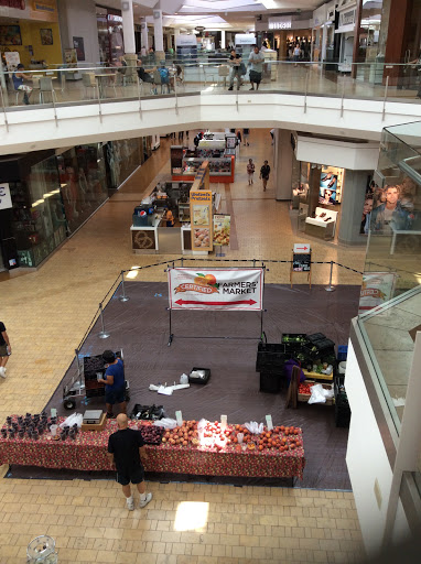 Macys image