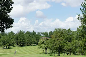 Ponderosa Golf & Country Resort image