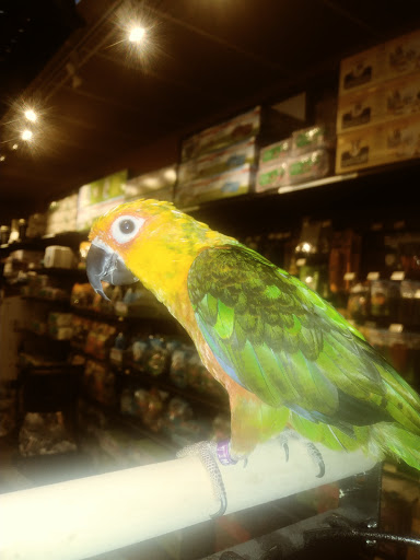 Pet Supply Store «Pet Valu», reviews and photos, 6220 Wilmington Pike D, Sugarcreek Township, OH 45459, USA