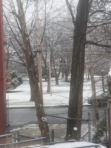 Park «Thrall Park», reviews and photos, 42-21 Grove St, Middletown, NY 10940, USA