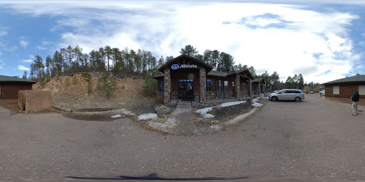 Insurance Agency «Allstate Insurance Agent: Luke Dale», reviews and photos