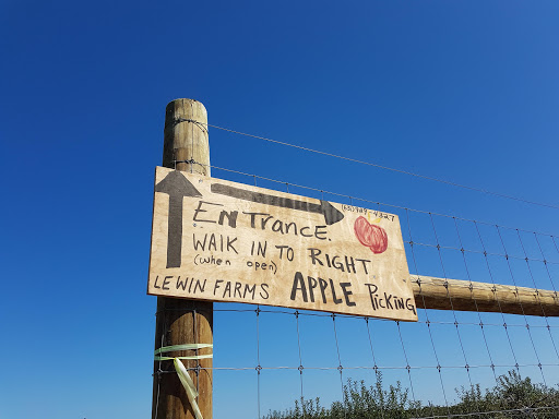 Farm «Lewin Farms», reviews and photos, 812 Sound Ave, Calverton, NY 11933, USA