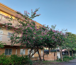 Sophon.19 Apartment photo