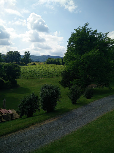 Vineyard «North Mountain Vineyard and Winery», reviews and photos, 4374 Swartz Rd, Maurertown, VA 22644, USA