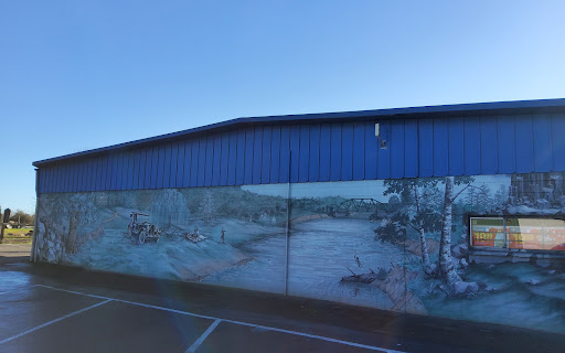 Auto Parts Store «NAPA Auto Parts - Davison Auto Parts», reviews and photos, 317 S Bridge St, Sheridan, OR 97378, USA