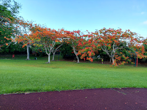 Parque San Ignacio