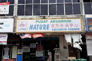 Nature Aquarium Corner image