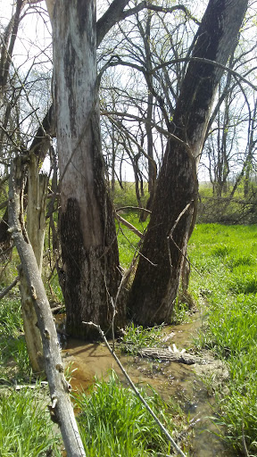 Nature Preserve «Indian Creek Nature Center», reviews and photos, 5300 Otis Rd, Cedar Rapids, IA 52403, USA