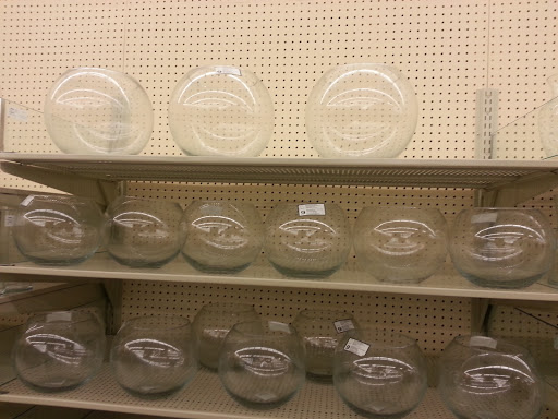 Craft Store «Hobby Lobby», reviews and photos, 815 Brandilynn Blvd, Cedar Falls, IA 50613, USA