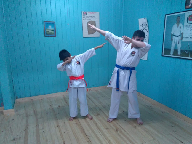 Opiniones de Karate-Do Goju Ryu Shimbukan Chile en Puerto Montt - Gimnasio