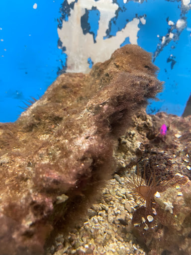 Pet Store «Pet World Warehouse Outlet», reviews and photos, 2984 S 108th St, Milwaukee, WI 53227, USA