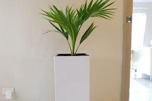 Elegant indoor and outdoor planters