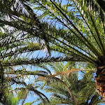 Photo n°13 de l'avis de Enza.O fait le 19/06/2022 à 09:43 sur le  Mangia’s Brucoli, Sicily, Autograph Collection à Brucoli