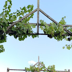 Photo n°3 de l'avis de Thomas.e fait le 19/08/2019 à 20:20 sur le  Weinlokal Allendorf im Brentanohaus à Oestrich-Winkel