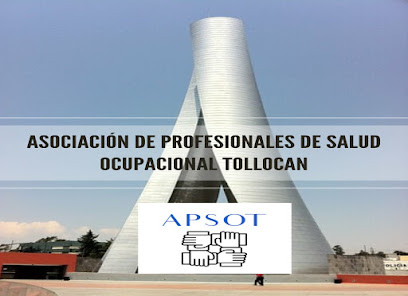 Asociación de Profesionales de Salud Ocupacional Tollocan, A.C.