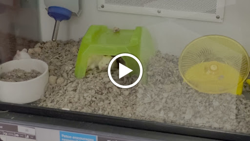 Pet Supply Store «Petco Animal Supplies», reviews and photos, 179 N Milwaukee St, Boise, ID 83704, USA