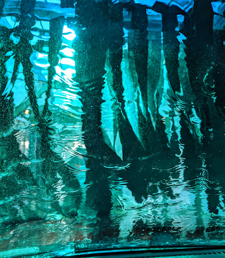 Car Wash «NASCAR Car Wash Naperville», reviews and photos, 2783 Forgue Dr, Naperville, IL 60564, USA