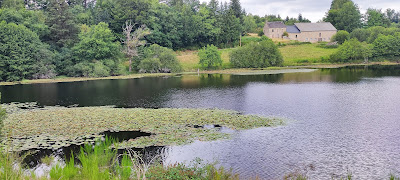 Étang des Oussines à Saint-Merd-les-Oussines