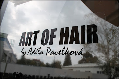 ART OF HAIR by Adéla Pavelková