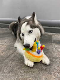 Pet Supplies Plus Coconut Creek - Photo 7 - Car repair in Coconut Creek, FL, Fort Lauderdale