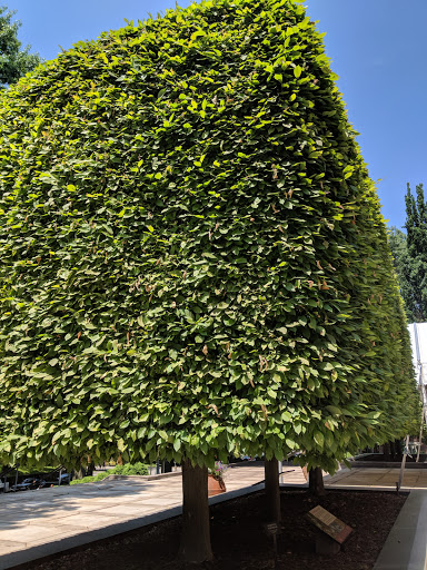 Art Museum «The Frick», reviews and photos, 7227 Reynolds St, Pittsburgh, PA 15208, USA