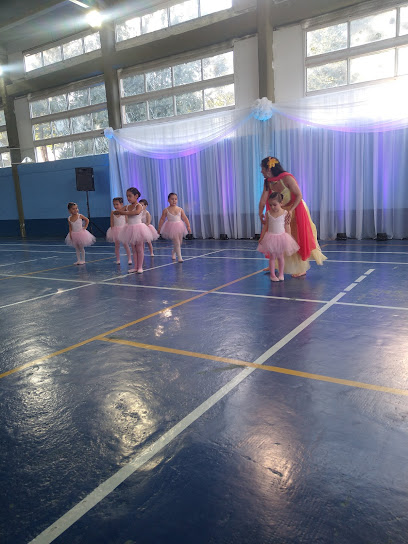 Gimnasio Municipal Adrián Mercado - José Paisil, La Villa, Neuquén, Argentina