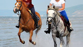 Pôle Equestre de Cabourg - La Sablonnière Cabourg