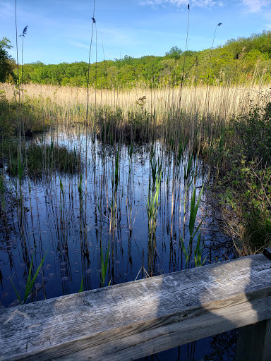 Nature Preserve «Cranberry Lake Preserve», reviews and photos, 1609 Old Orchard St, West Harrison, NY 10604, USA