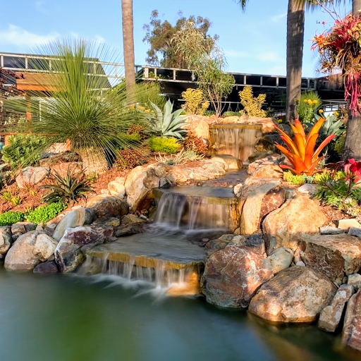San Diego Ponds | Koi Pond Installer