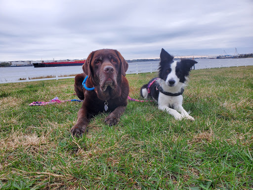 Memorial Park «Alvin P. Williams Memorial Park», reviews and photos, Port Reading Ave, Sewaren, NJ 07077, USA