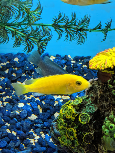 Pet Supply Store «Pet Valu», reviews and photos, 541 S Breiel Blvd, Middletown, OH 45044, USA