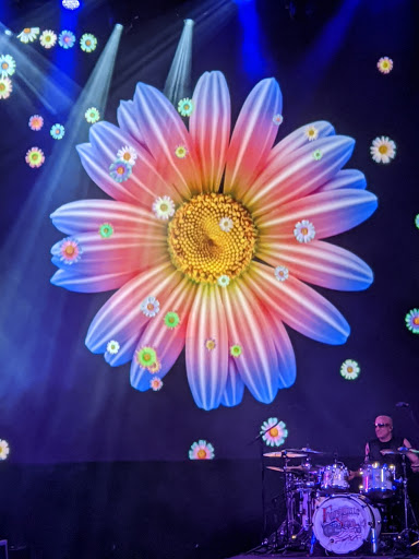 Amphitheater «The St. Augustine Amphitheatre», reviews and photos, 1340C A1A S, St Augustine, FL 32080, USA