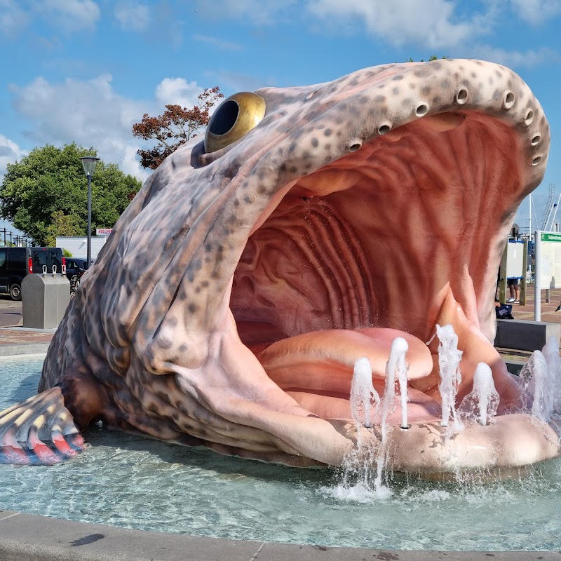 11Fountains - De Vis van Stavoren