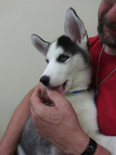 Pet Store «Park Avenue Birds & Pet Supply», reviews and photos, 120 W Center St, West Bridgewater, MA 02379, USA