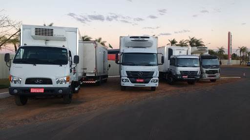 Logo da empresa - Transportadora Mais