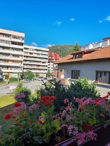 у, ул. „Васил Дечев“ 7, 4850 Чепеларе